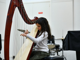 Harp Audition
