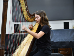Harp Audition