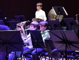 Almost every orchestra!