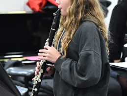 Clarinet &amp; Double Bass Audition