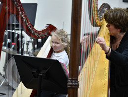 Harp Audition