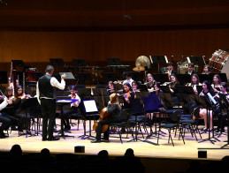 Almost every orchestra!