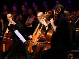 A Midsummer Night's Dream