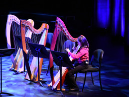 A Midsummer Night's Dream