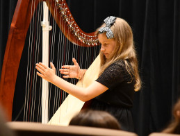 Harp Audition