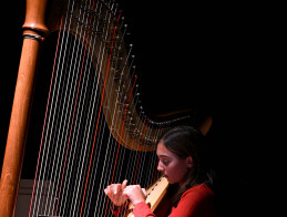Harp Audition