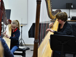Harp Audition