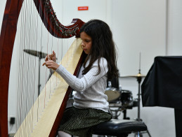 Harp Audition
