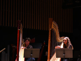 Harp Audition