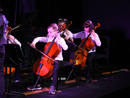 Concert by the Orchestras