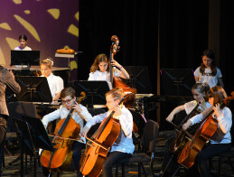 Concert by the Orchestras