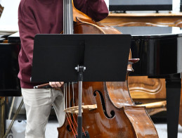 Double bass audition