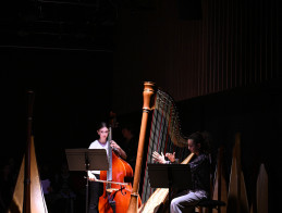 Harp Audition