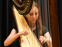 Harp Audition