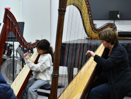 Harp Audition