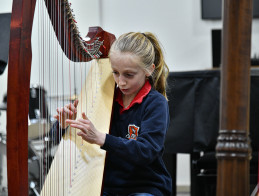 Harp Audition