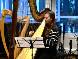 Harp Audition