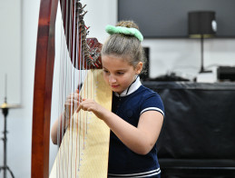 Harp Audition
