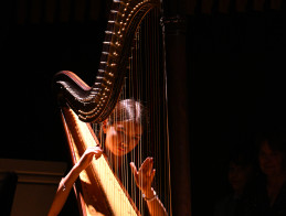 Harp Audition