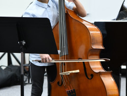 Double bass audition