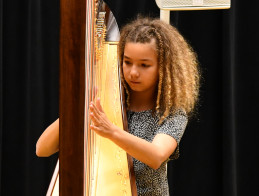 Harp Audition