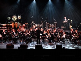 Concert by Ensembles &amp; Orchestras