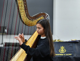 Harp Audition