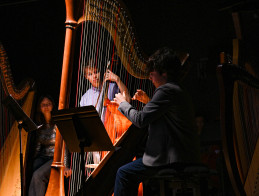Harp Audition
