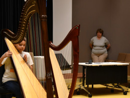 Harp Audition