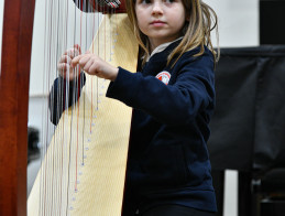 Harp Audition