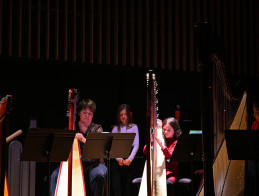 Harp Audition