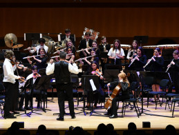 Almost every orchestra!