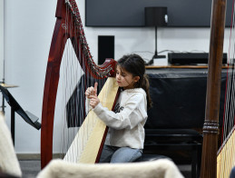 Harp Audition
