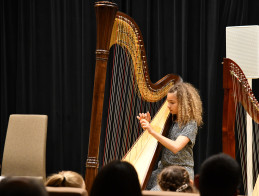 Harp Audition