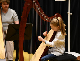 Harp Audition