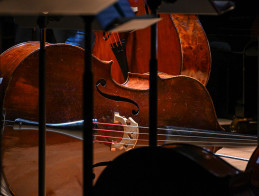 Concert as part of Mirella Vedeva Ruaux's double bass Masterclass