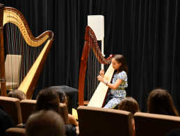 Harp Audition