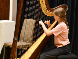 Harp Audition