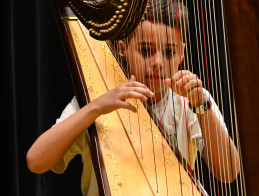 Harp Audition